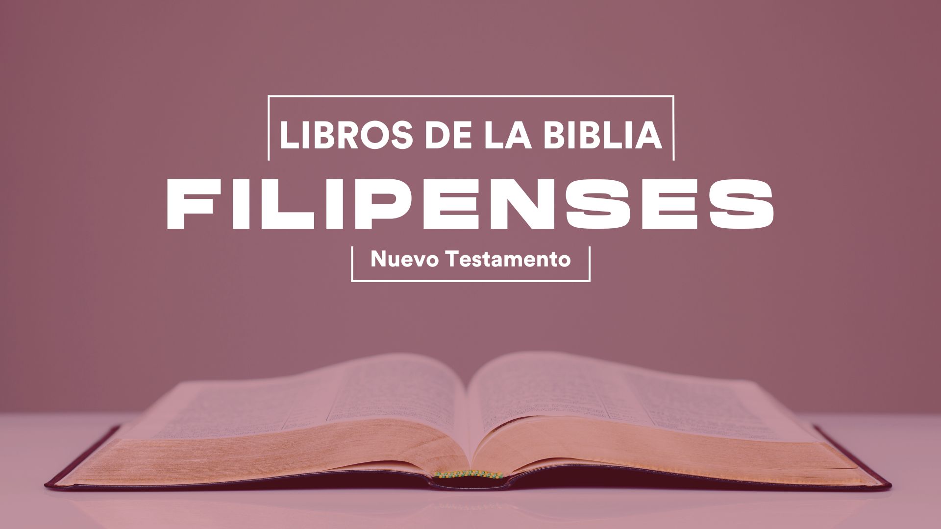Filipenses - Libros de la Biblia.jpg